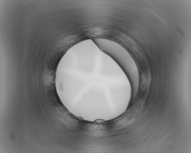 X0000111240284200908131152