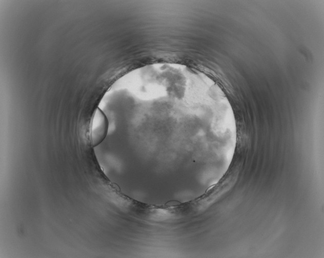 X0000111240285200908131152