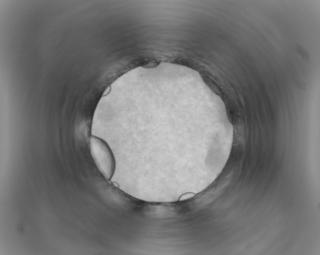 X0000111240286200908131152