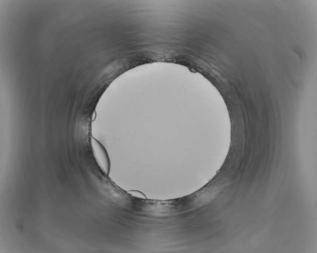 X0000111240288200908131152