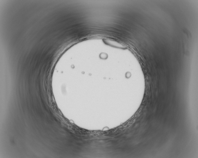 X0000111240289200908131151