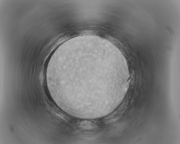 X0000111240290200908131151