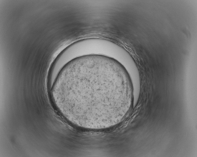 X0000111240292200908131151