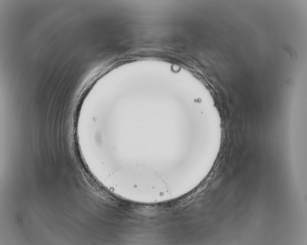 X0000111240293200908131151