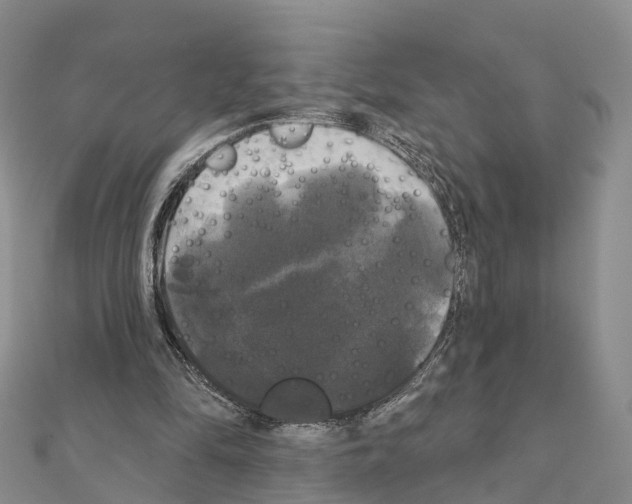 X0000111240294200908131151