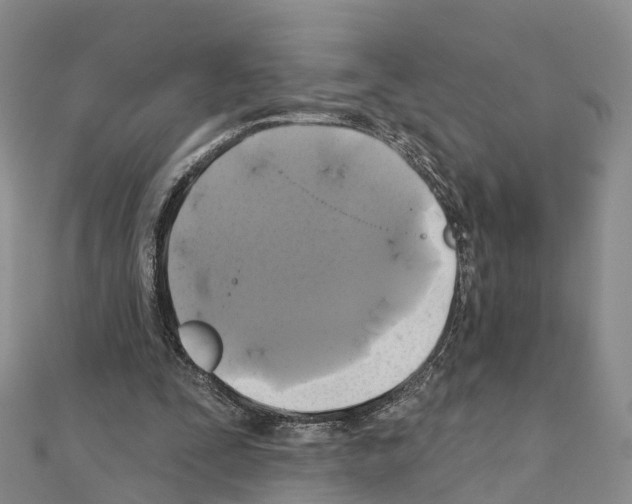 X0000111240295200908131151