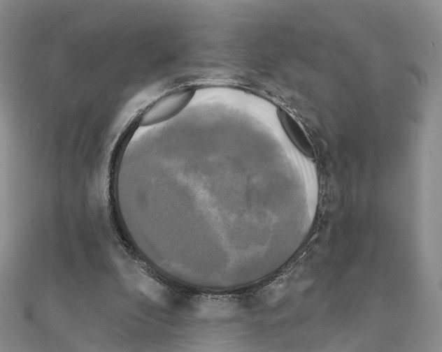 X0000111240296200908131151