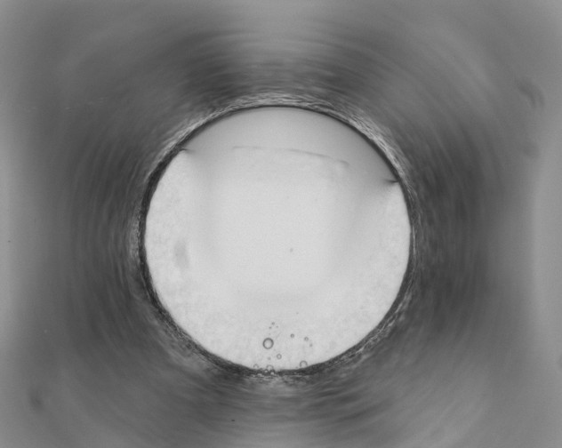 X0000111240297200908131151