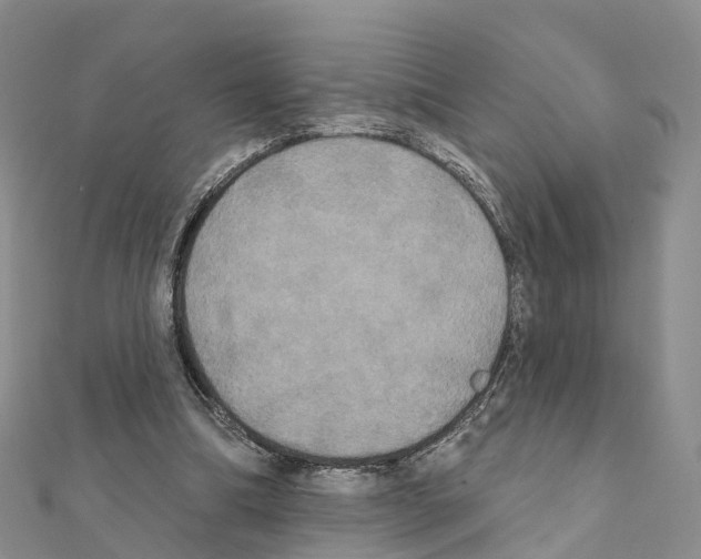 X0000111240298200908131151