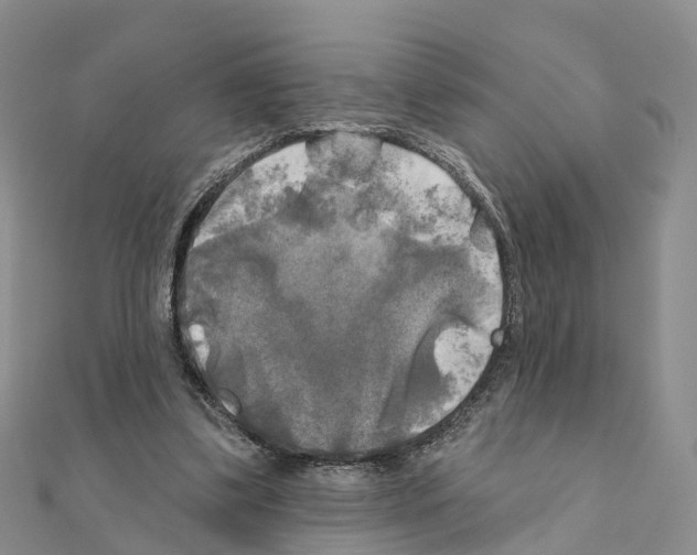 X0000111240299200908131151