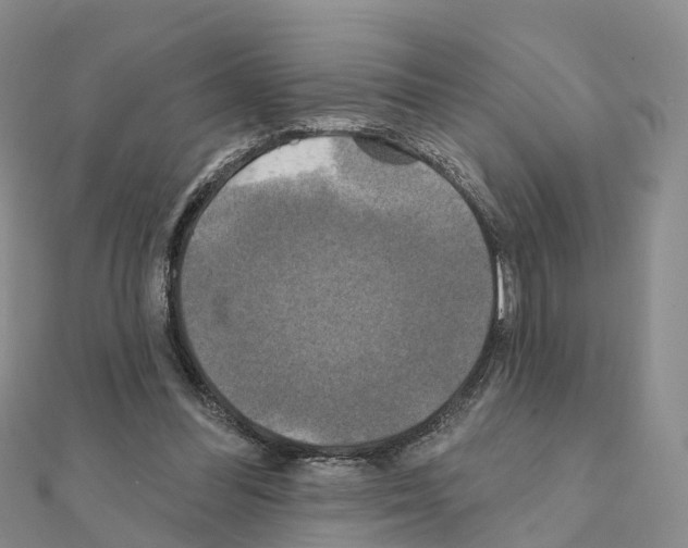 X0000111240300200908131151
