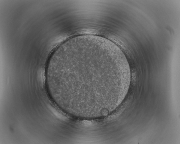 X0000111240302200908131151