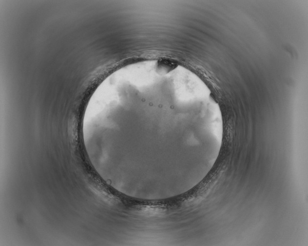 X0000111240303200908131151