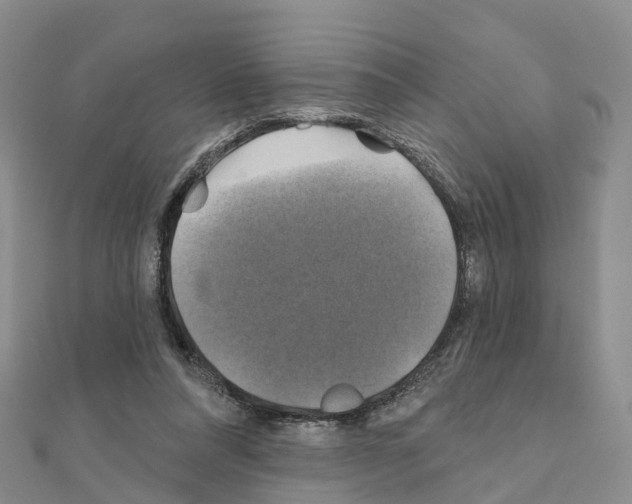 X0000111240304200908131151