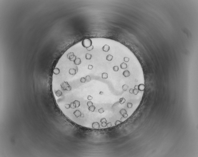 X0000111240305200908131151