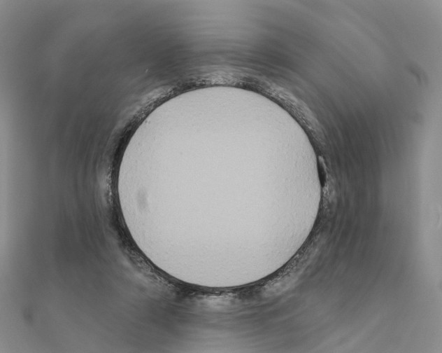 X0000111240306200908131151