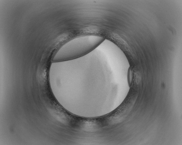 X0000111240308200908131151