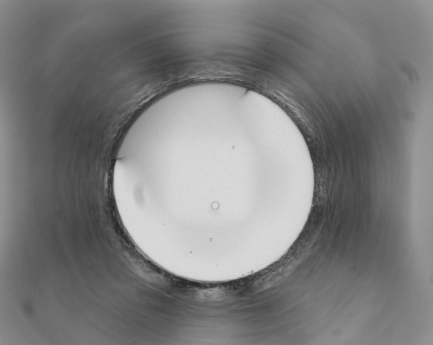 X0000111240309200908131151