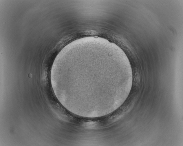 X0000111240312200908131151