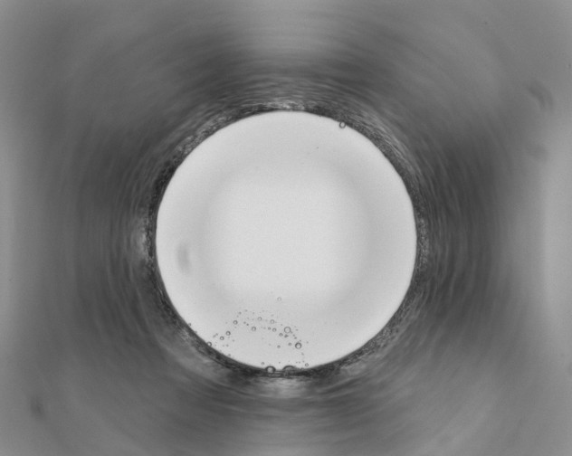 X0000111240313200908131151