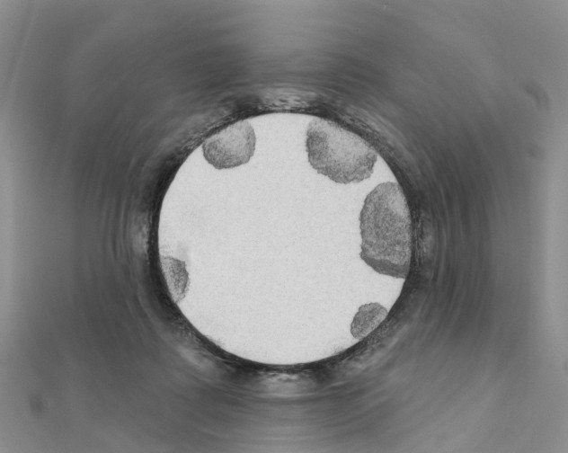X0000111240315200908131151