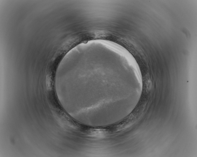 X0000111240316200908131151