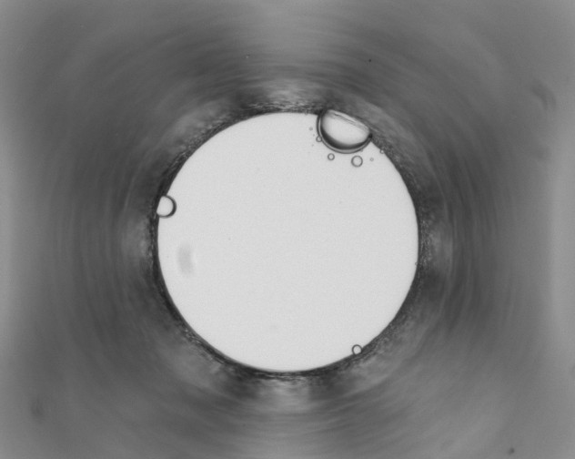 X0000111240317200908131151