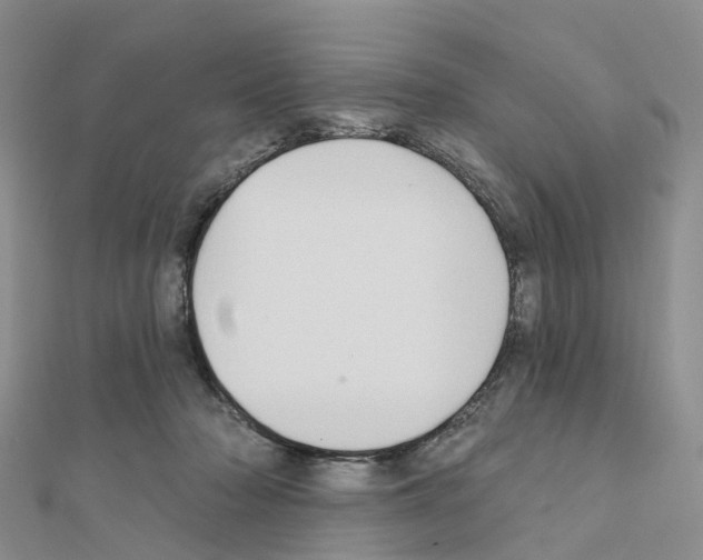 X0000111240318200908131151