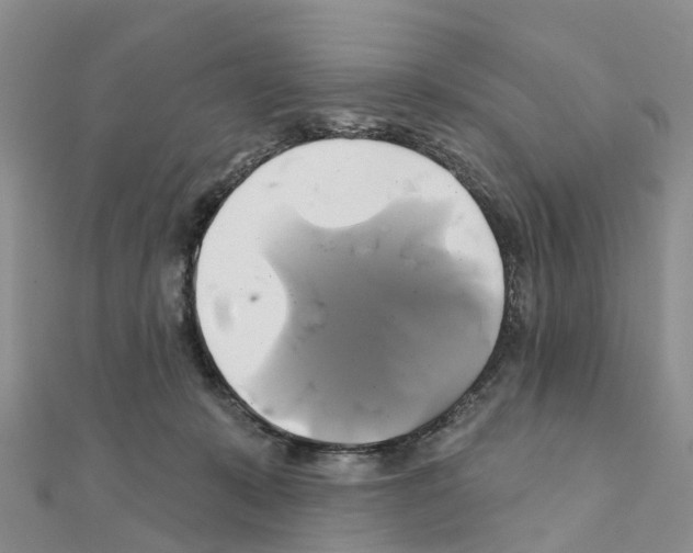 X0000111240319200908131151