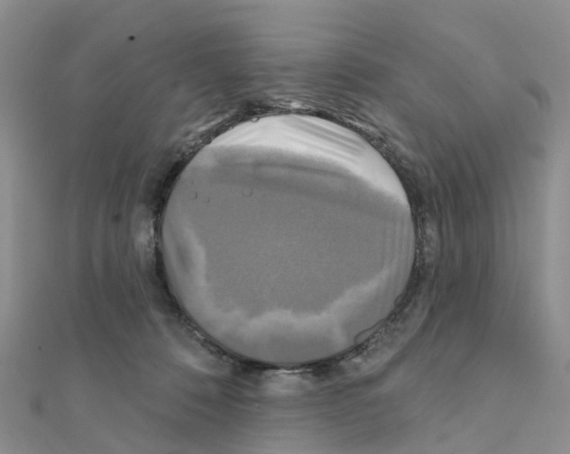 X0000111240320200908131151