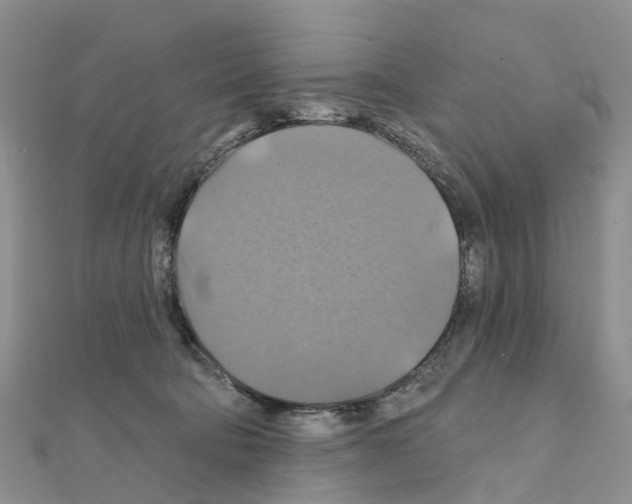 X0000111240322200908131151