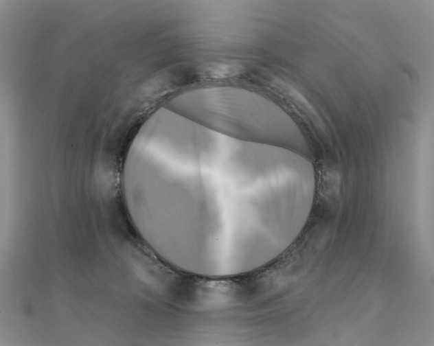 X0000111240324200908131151