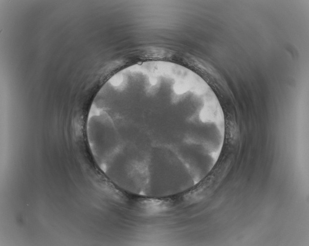 X0000111240326200908131151