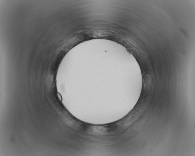 X0000111240327200908131151