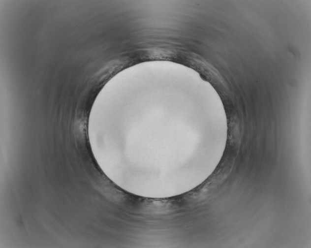 X0000111240329200908131151