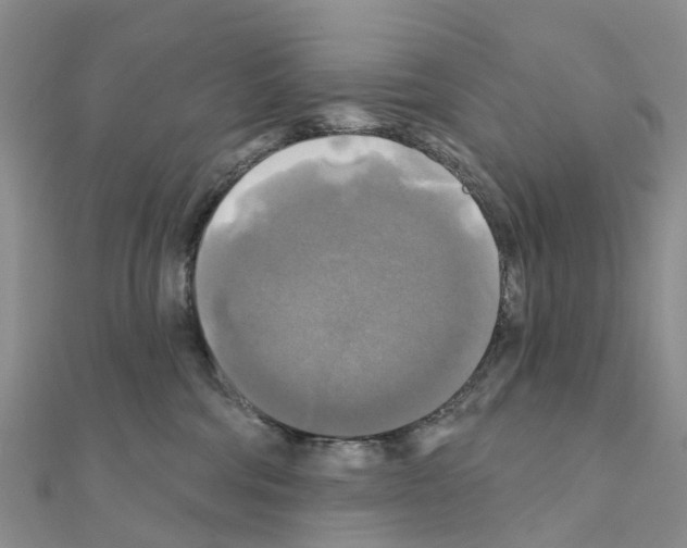 X0000111240330200908131151