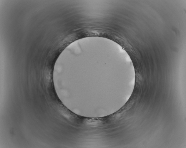 X0000111240331200908131151