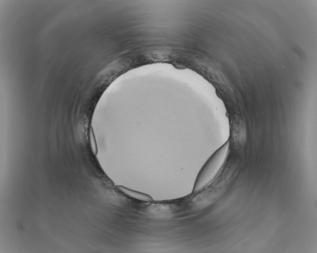 X0000111240332200908131151