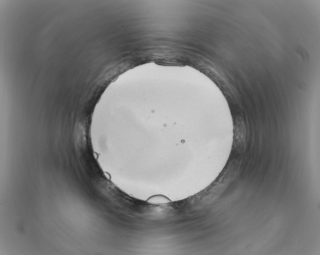 X0000111240333200908131150