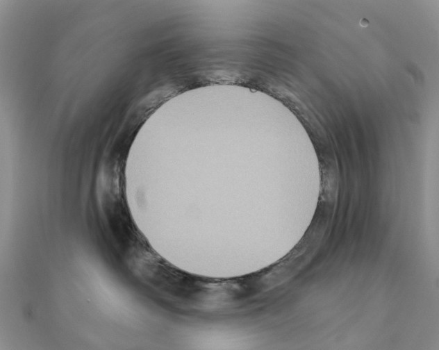 X0000111240334200908131150
