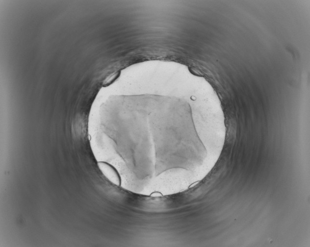 X0000111240335200908131150