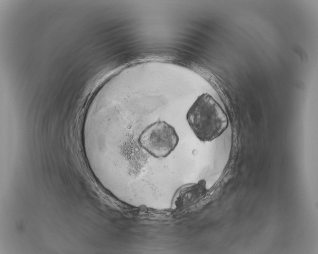 X0000111240337200908131150