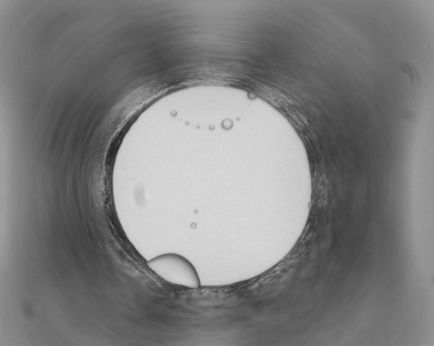 X0000111240338200908131150