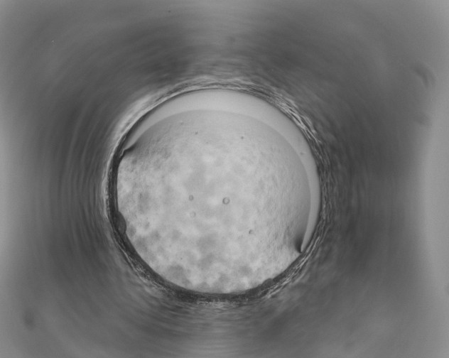 X0000111240340200908131150