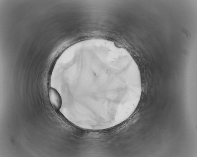 X0000111240341200908131150
