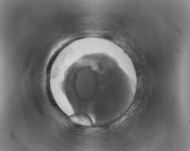 X0000111240342200908131150