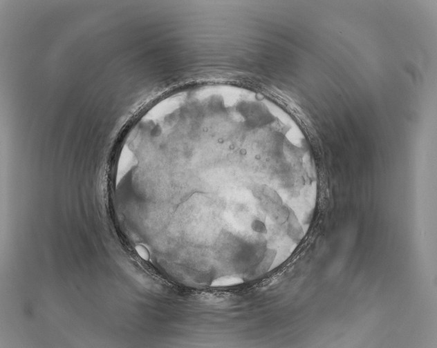 X0000111240346200908131150