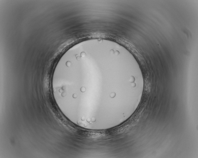 X0000111240347200908131150