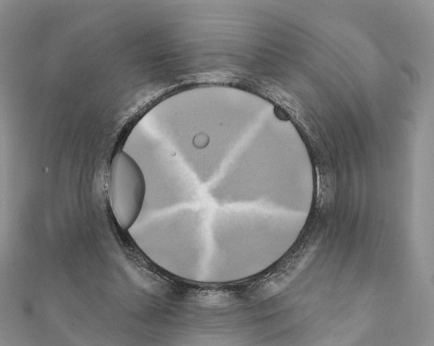 X0000111240348200908131150
