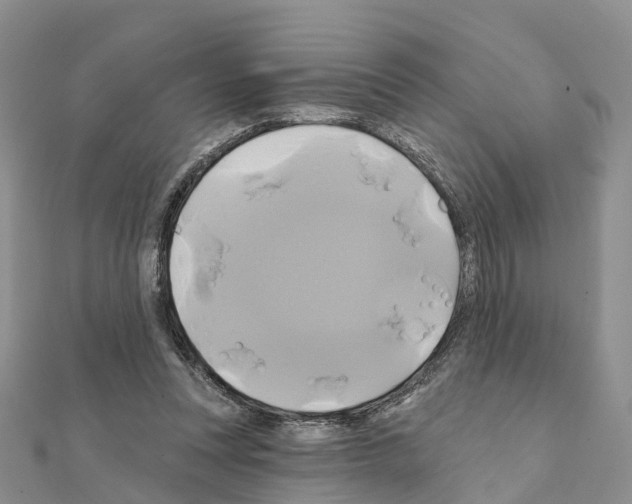 X0000111240351200908131150